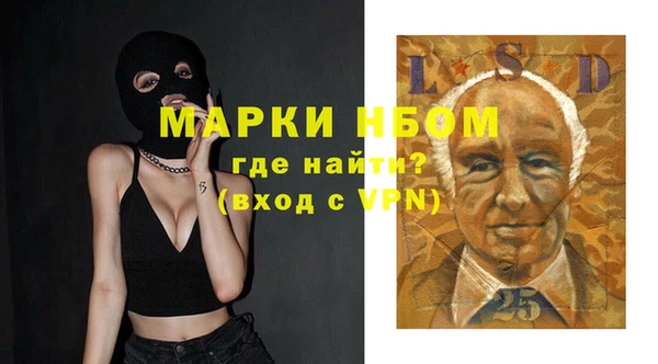 стафф Алексин
