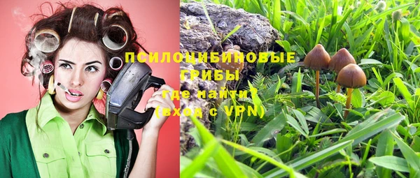 стафф Алексин