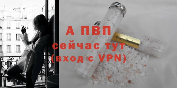 стафф Алексин