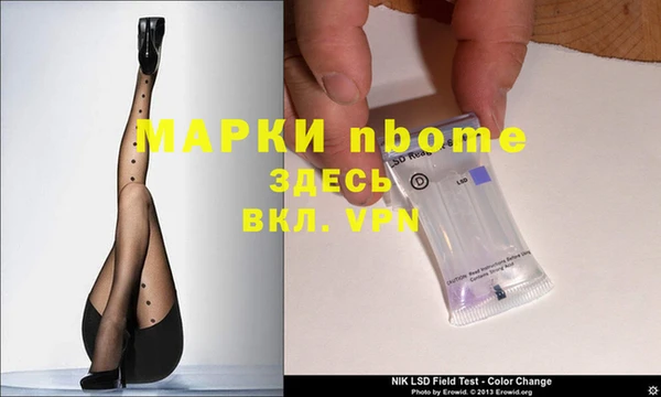 стафф Алексин