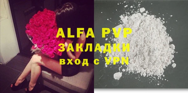 стафф Алексин